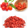 2018 new fresh Non GMO Goji Berry